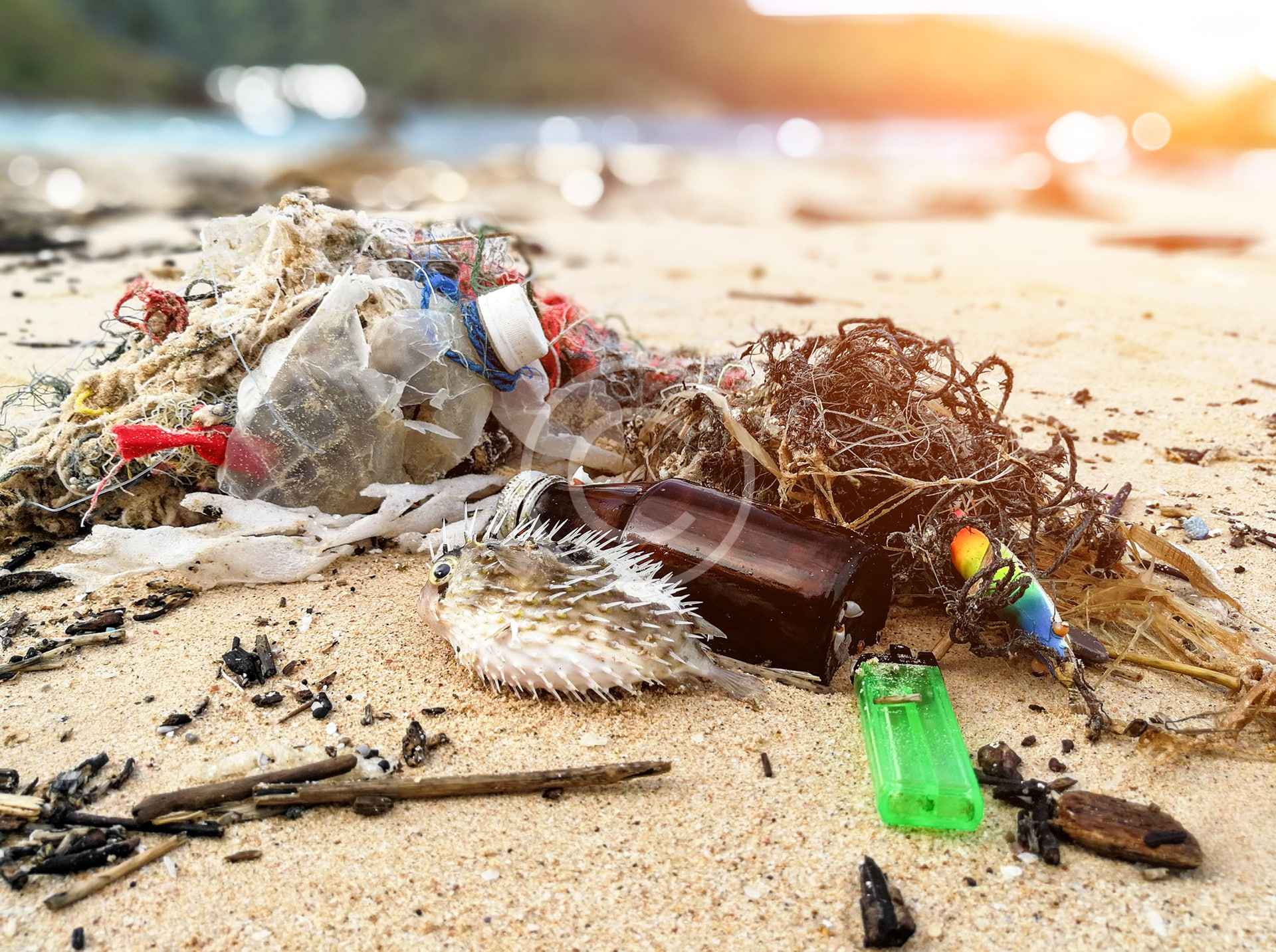 Sign the Plastic-Free Great Lakes Pledge